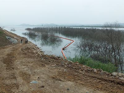 DSCF0113.jpg
