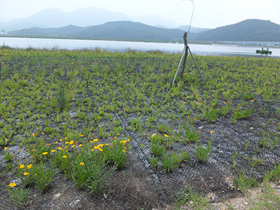 DSCF0183.jpg