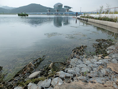 DSCF0185.jpg