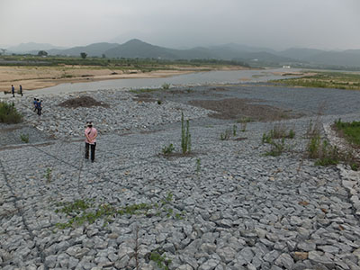 DSCF0210.jpg