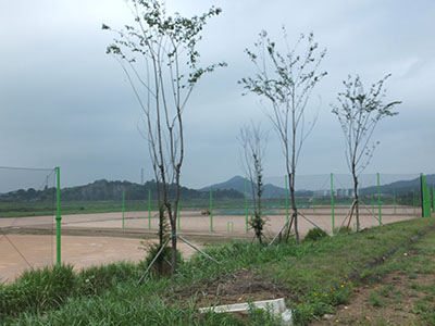 DSCF0255.jpg