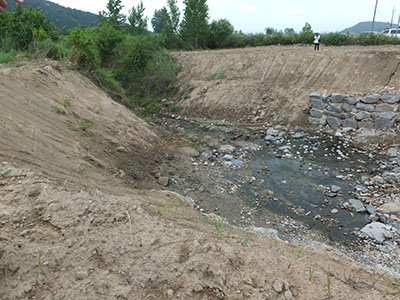 DSCF0287.jpg