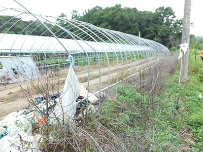DSCF0317.jpg
