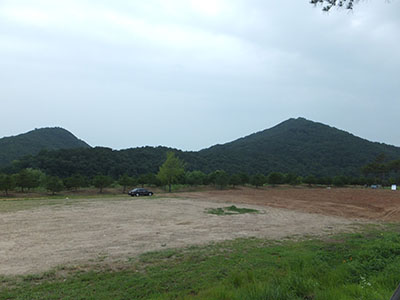 DSCF0337.jpg