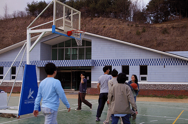 ws7.gif